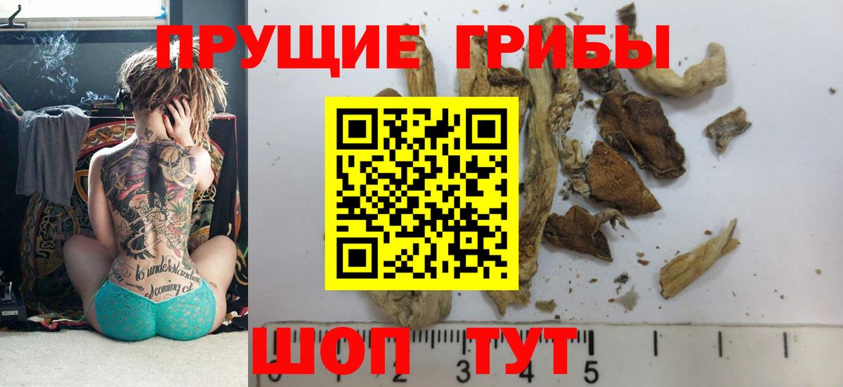 Клинцы  Псилоцибиновые грибы ЛСД  цена наркотик  Вход с VPN 